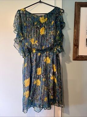Beautiful Silk dress, flutter sleeves